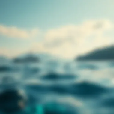 Magnificent Aqua 코인 분석: 암호화폐 투자에 대한 통찰 Magnificent Aqua 코인 분석: 암호화폐 투자에 대한 통찰