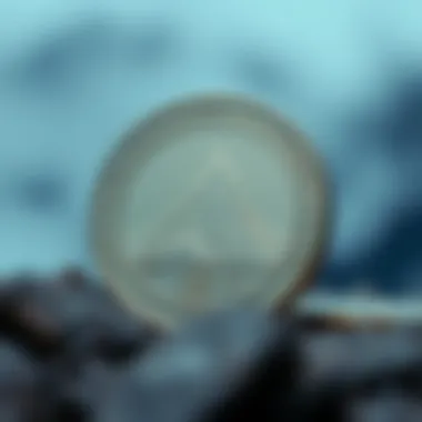 Magnificent Avalanche Coin: 심층 분석 및 투자 전략 Magnificent Avalanche Coin: 심층 분석 및 투자 전략