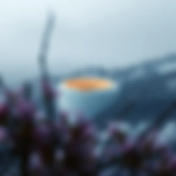 Magnificent 바이낸스 계산기의 이해와 활용