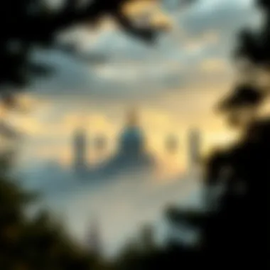 Magnificent 곰덫의 복잡한 세계: 이해와 투자 전략