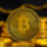 Binance US의 이해와 활용 Introduction
