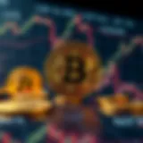 Visual representation of Bitcoin price fluctuations over time