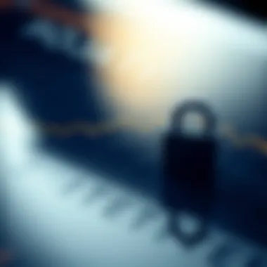 The Importance of Privacy in Cryptocurrency Graph illustrating the significance of privacy in cryptocurrency