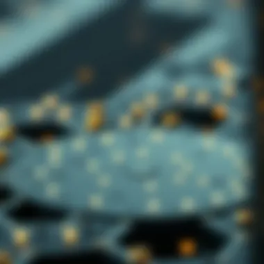 Understanding Hedera Hashgraph Technology Conceptual diagram of Hedera Hashgraph technology