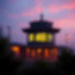 미국 달러화의 복잡한 세계 Introduction