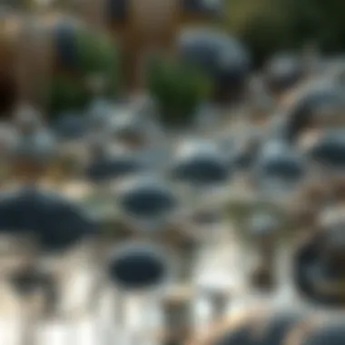 Notable Pond 코인: 깊이 있는 이해와 투자 전략 Notable Pond 코인: 깊이 있는 이해와 투자 전략