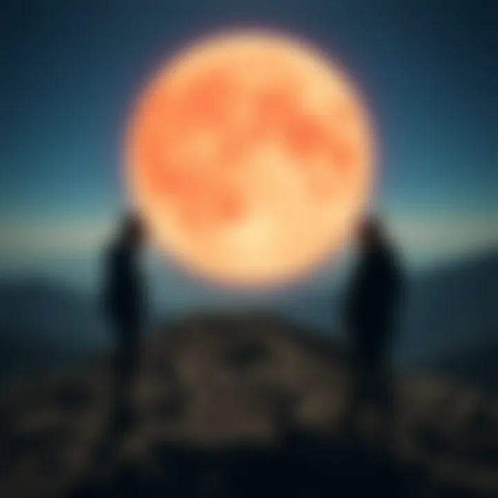 Expert Insights on Terra Luna Risks and Opportunities Expert Insights on Risks and Opportunities in Terra Luna