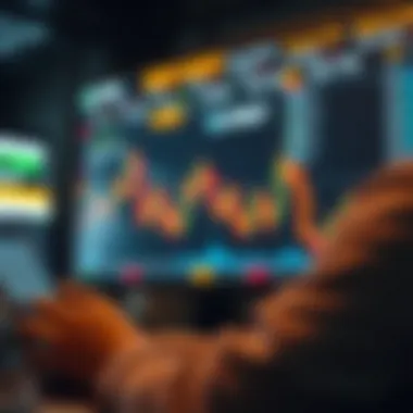 Enhanced user experience with Upbit API