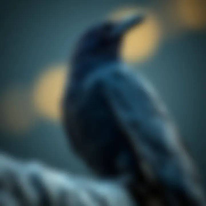 Investment Strategies for Trading Raven Investment strategies for trading Raven