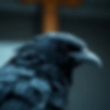 Technical Characteristics of Raven Technical characteristics of Raven on Upbit